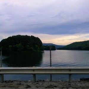 Meet your Posher, Palemon